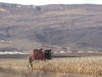 14 (Копировать).jpg