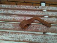 IMG_20260116_111758_782 (1).jpg