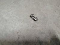 IMG_20250409_131956.jpg