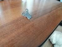 IMG_20250404_173404.jpg