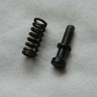 DSCN8700.JPG