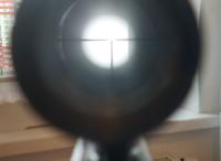20250511_111535.jpg