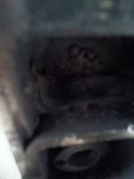 IMG_20250524_032501_998.jpg