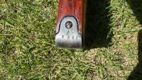 IMG_3871.jpeg