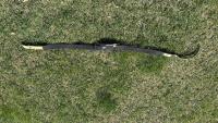 IMG_3942.jpeg