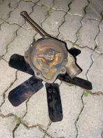 IMG_0974.jpeg