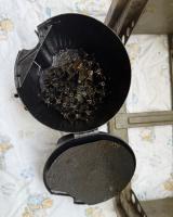 IMG_E3216.jpg