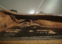 DSC08678.JPG