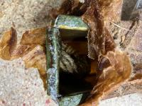 IMG_6574.jpeg