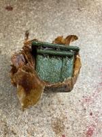 IMG_6573.jpeg
