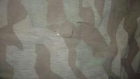 DSCF3319_thumb.jpg