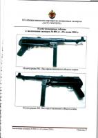 Мария Петровна 38 экспертиза-7-1.jpg