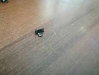 IMG_20250710_201108.jpg