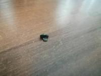 IMG_20250710_201136.jpg
