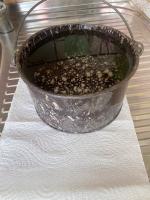 IMG_0849.jpeg
