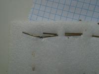 DSC08103.JPG