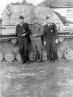 Sturmpanzer-Abteilung 219.jpeg