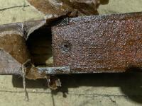 IMG_2153.jpeg