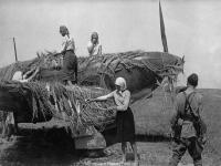Женщины-маскируют-истребитель-Як-1-на-аэродроме.-СССР-1941-год.-Фото-Эммануил-Евзерихин.jpg