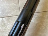 IMG_5008.jpeg