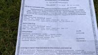 IMG_8940.jpeg