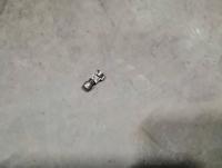 IMG_20250926_145450.jpg