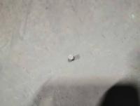 IMG_20250926_145600.jpg