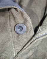 IMG_20251017_093831.jpg