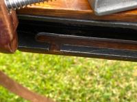 IMG_8359.jpeg