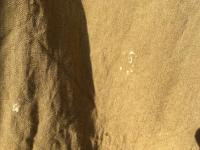 IMG_1516.JPG