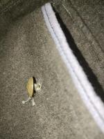 IMG_20261011_145604.jpg