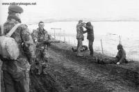 Falklands_War_Three_Argentine_Marine_Infantry_soldiers_being.jpg